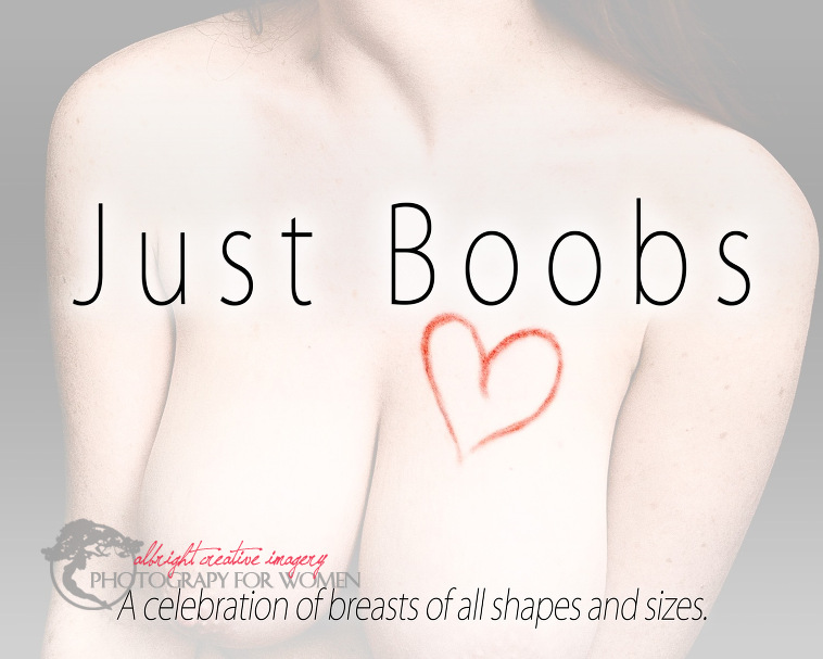 just boobs book cover