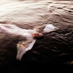 Fort Wayne positive body image