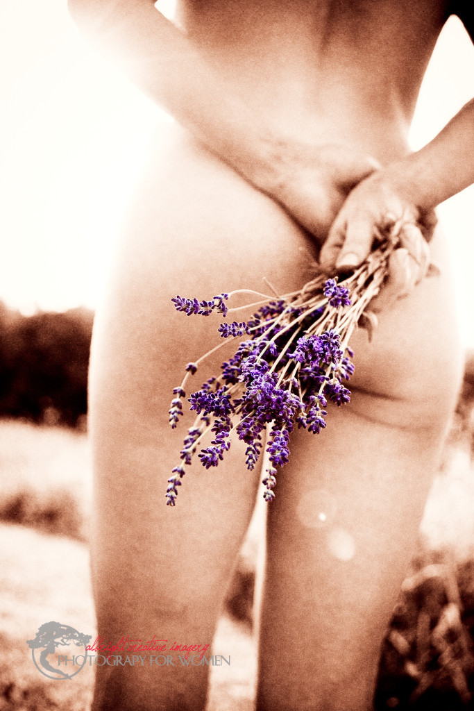 fresh herbs - lavender
