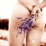fresh herbs - lavender